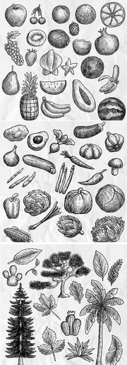 21种手绘蔬菜瓜果图片