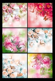 粉色花朵图片素材
