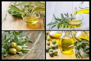 橄榄和橄榄油高清图片