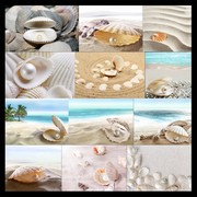 沙滩上的珍珠和贝壳