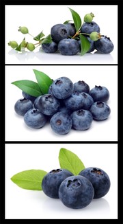 新鲜蓝莓摄影图片 