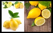 柠檬高清图片