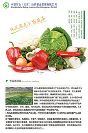 新鲜有机蔬菜海报图片素材
