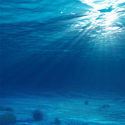 海底世界风景摄影图片素材