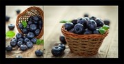 新鲜的蓝莓高清摄影图片素材