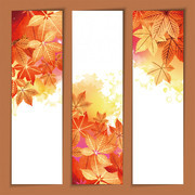 秋天枫叶背景设计图片素材