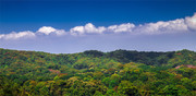 秋季森林风景鸟瞰摄影图