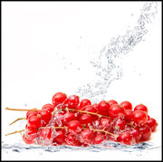红色蔓越莓水果高清图片素材
