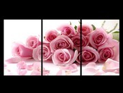 粉色玫瑰花花束装饰图片下载