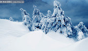 冬天雪地风景高清图片下载
