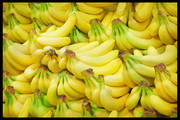 香蕉水果高清图片