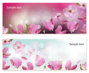 粉色花朵花纹背景图片素材