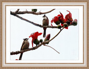 花鸟装饰油画图片