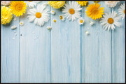 木板背景和菊花图片素材