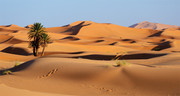 沙漠风景壁纸高清图片