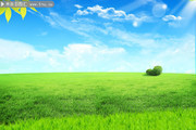 蓝天下的草地风景背景图片