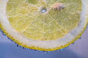 柠檬切片高清水果图片