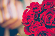 红色玫瑰花鲜花图片素材