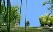 竹林景观设计素材