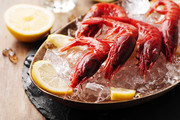 海鲜水产虾的图片素材