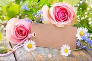 雏菊玫瑰花与纸质吊牌摄影