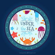 海洋动物矢量插画图片