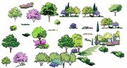 手绘水彩园林景观树木图片素材