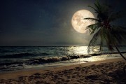 月光下沙滩风景图片素材