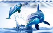 3D海豚装饰画图片