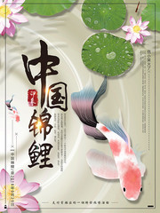 中国锦鲤海报图片