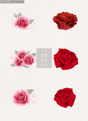 矢量玫瑰花花朵矢量图片