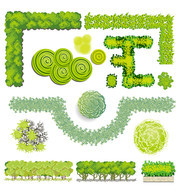 手绘植物景观设计图片素材
