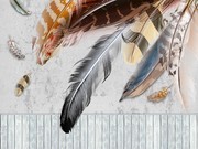 彩色羽毛北欧背景墙图片