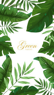 热带植物绿叶边框图片素材