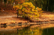 秋天河边风景图片素材