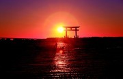 夕阳余晖下的滨名湖风景图片