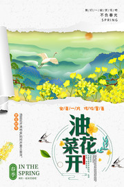 春季油菜花田旅游海报