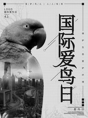 创意国际爱鸟日海报