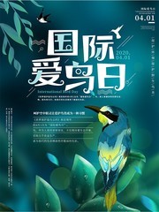 绿色国际爱鸟日公益宣传海报