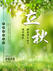 绿色立秋节气海报