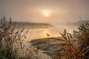 黄昏日落美景与湖边的白鹭摄影图片