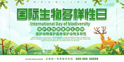 国际生物多样性日保护动物森林环保公益图片模板