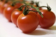 新鲜番茄蔬菜图片下载