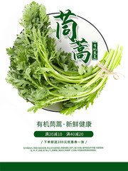 有机茼蒿蔬菜促销海报图片