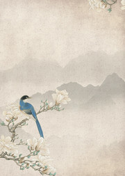中国风工笔画花鸟风格背景图片素材