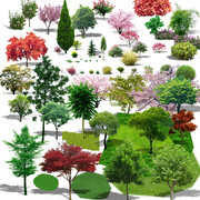 植物景观树木素材图片