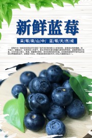 蓝莓新鲜水果海报