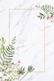 手绘植物花卉边框背景