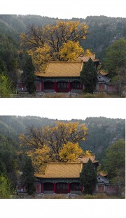 济南淌豆寺秋景图片