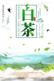 白茶茶叶海报图片